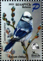 Belarus - 2022 - BirdLife International - Blue Tit - Cyanistes Cyanus - Mint Stamp - Belarus