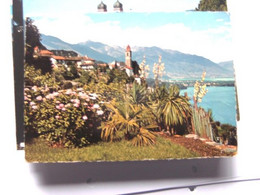 Zwitserland Schweiz Suisse TI Ronco Lago Maggiore - Ronco Sopra Ascona