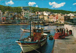 CARTOLINA  ACITREZZA,CATANIA,SICILIA,PANORAMA E PORTO,LUNGOMARE,SPIAGGIA,VACANZA,LIDO,BELLA ITALIA,VIAGGIATA 1984 - Acireale