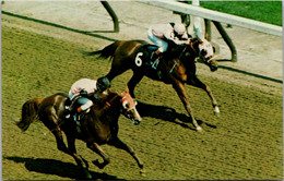 West Virginia Charles Town Race Track Horse Racing Into The Stretch - Altri & Non Classificati