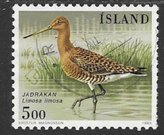 Iceland Scott# 665 Used Bird, 1988 - Gebraucht