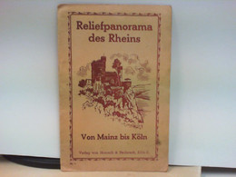 Reliefpanorama Des Rheins Von Mainz Bis Köln - Klappkarte - Deutschland Gesamt