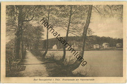 Bad Georgenthal - Promenade Am Hammerteich - Verlag Alex Voigt Georgenthal - Georgenthal