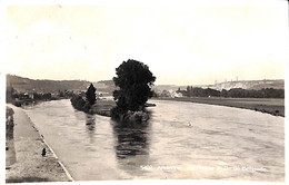 Andenne - La Meuse Et Ile De Belgrade (Belga Phot + Cheminées Dumont) - Andenne