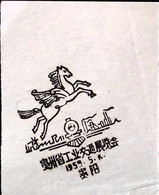 CHINA  CHINE CINA  Special Postal Commemorative Postmark - Other & Unclassified