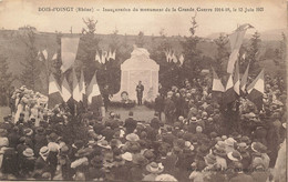69 - RHÔNE - LE BOIS D'OINGT - Inauguration Du Monument Aux Morts 12 Juin 1921 - Superbe Animation état Voir Scans 10097 - Le Bois D'Oingt