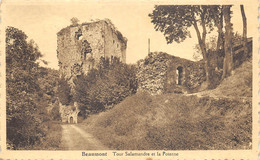 Beaumont - La Tour Salamandre Et La Poterne - Ed. A. Gonset - Beaumont