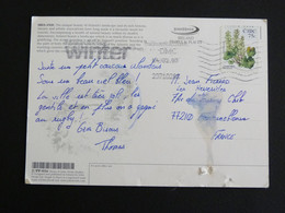 LETTRE IRLANDE IRELAND EIRE AVEC YT 1703 NOMBRIL DE VENUS FLORE FLEUR FLOWER BLUME - MULTIVUES - Storia Postale