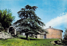 13 - Trets - Résidence Saint Jean Du Puy - La Chapelle - Trets