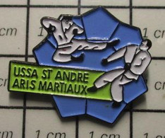 610D Pin's Pins / Beau Et Rare / THEME : SPORTS / JUDO KARATE USSA SAINT ANDRE ARTS MARTIAUX - Judo