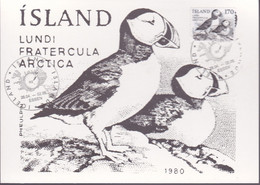 IJsland 1980, Birds - Cartoline Maximum
