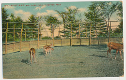 Riverton Park ZOO Portland, USA - Deer - Portland