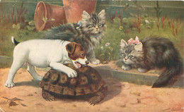 Illustrateur Raphael Tuck Oilette - Animaux Tortue Chats Chien    N 891 - Tortugas