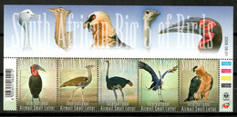 South Africa RSA 2008 MNH Sudáfrica / Birds MNH Vögel Aves Uccelli Oiseaux / Cu19764  40-31 - Non Classificati