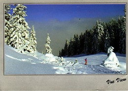 Paysage De Montagne ; Expédiée D' Allemont En 1991 - Allemont