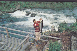 Canada CPA Atlantic Salmon Caught On Falls At Serpentine River CORNER ROCK 1954 GÖTEBORG Sweden - Autres & Non Classés