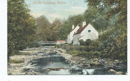 Derbyshire  Postcard On The Clywedod Ruthin  Valentine's - Denbighshire