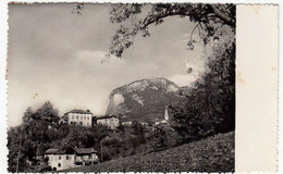 POCHI - SALORNO - BOLZANO - Vedi Retro - Formato Piccolo - Bolzano (Bozen)