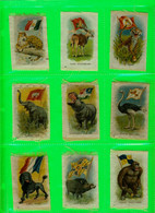 COLLECTION DE CARTES EN SOIE DE CIGARETTE - LOT DE 31 CARTES - ANIMAUX ET DRAPEAUX EMBLÈME DU PAYS - - Sammlungen & Sammellose