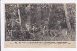 CP NOUVELLE CALEDONIE A L'entrée D'une Tribu Canaque - Nouvelle-Calédonie
