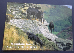 Valley Of Rocks, Lynton - Mountain Goats (J. Salmon Ltd., Kent) - Lynmouth & Lynton
