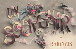 69 - RHÔNE - BRIGNAIS - Carte Fantaisie Ancienne "un Souvenir De" - 10118 - Brignais