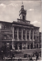 Foligno - Palazzo Comunale - Formato Grande Viaggiata – FE170 - Foligno