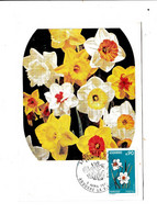 Andorre Français > Cartes-Maximum 1974/75  N°236/ N° 245/N° 247/ - Maximumkarten (MC)