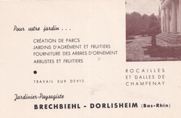 67) DORLISHEIM -  BRECHBIEHL (BAS RHIN) JARDINIER - PAYSAGISTE - ROCAILLES ET DALLES DE CHAMPENAY - Sonstige Gemeinden