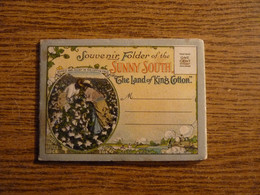 Etats Unis - "Sunny South - The Land Of King Cotton - Dépliant Accordéon 10 Vues Toutes Photographiées Recto -11x8cm Env - Black Americana