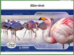 A2505 -SIERRA LEONE -ERROR: MISPERF Souvenir Sheet - 2019 Water Birds, Flamingos - Flamants