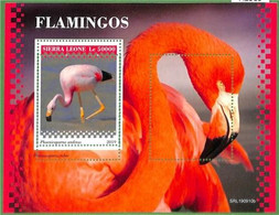 A2589- SIERRA LEONE - ERROR: MISPERF, Souvenir Sheet - 2019, Flamingos, Birds - Flamingo