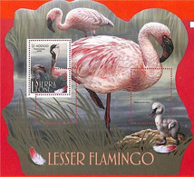 A4700 - SIERRA LEONE - ERROR MISPERF, Souvenir Sheet: 2017, Flamingos, Birds - Flamants