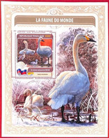 A4971 - TOGO - ERROR MISPERF, Souvenir Sheet: 2016, Swans, Birds - Cygnes