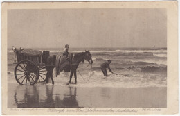 Katwijk Aan Zee, Schelpenvisscher (Muschelfischer) -  (Richarz Naturaufnahmen - 262) - (Nederland / Zuid-Holland) - 1913 - Katwijk (aan Zee)