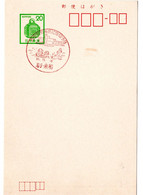 58381 - Japan - 1976 - ¥20 GAKte M SoStpl IWATE TOWA - BRIEFMARKENAUSSTELLUNG, Kl. Haftstelle - Pilze