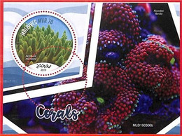 A4050 - MALDIVES - ERROR MISPERF, Souvenir Sheet: 2019, Coral Reefs, Marine Life - Meereswelt