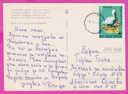 275356 / Bulgaria Kazanlak Kasanlak  Used 1984 - W.W.F WWF Dalmatian Pelican (Pelecanus Crispus) Car Volkswagen Käfer - Lettres & Documents