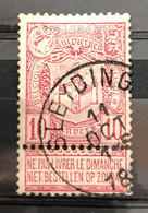 België, 1894, Nr 69, Gestempeld SLEYDINGE - 1894-1896 Esposizioni