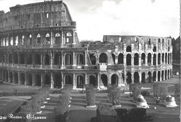 Roma Colosseo - Colosseo