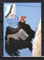 &#9989; 2009 " ANIMAUX MENACES : CONDOR DE CALIFORNIE " Sur Carte Maximum. N° YT 4375 Parfait état CM - Eagles & Birds Of Prey