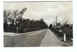 BERINGEN-MIJN  Steenweg Op Beringen - Beringen