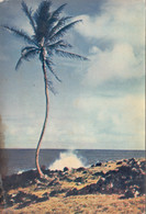 Antilles - Montserrat - Caribbean - Leeward Islands - Publicité Médecine Ionyl - Andere & Zonder Classificatie