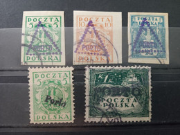 Polonia. Polska. 1919/1920. Porto. Nuevos */** - Postage Due