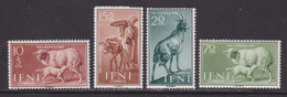 IFNI 1959 - Serie Completa Nueva Sin Fijasellos Edifil Nº 152/155 -MNH- - Ifni