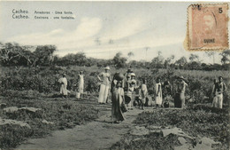 PC GUINÉE PORTUGAISE, CACHEO, ENVIRONS, UNE FONTAINE, Vintage Postcard (b38676) - Guinea-Bissau