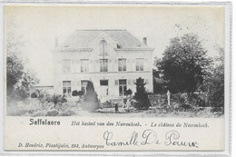 - 487 - SAFFELAERE - ZAFFELARE  (Lochristi )      Le Chateau Du Neerenhoeck - Lochristi