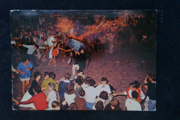 ► TORO De Fuego - Côté Basque (Pyrénées Atlantique) - Corrida