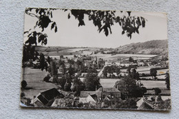 Cpm 1959, Brinon Sur Beuvron, Vue Générale, Nièvre 58 - Brinon Sur Beuvron