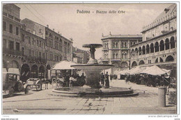 PADOVA:  PIAZZA  DELLE  ERBE  -  FP - Plazas De Mercados